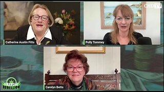 Understanding mind control - with former government adviser Catherine Austin Fitts / 09. February