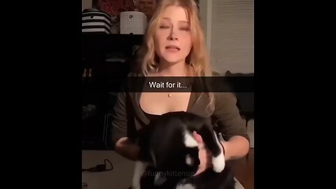 Try Not To Laugh Dogs And Cats 😁 - Best Funniest Animal Videos Of The Month