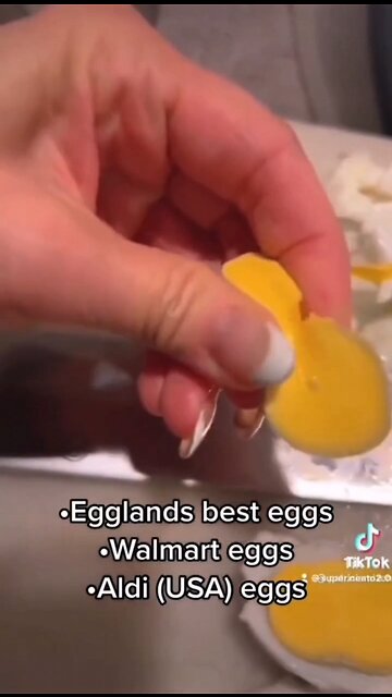 New Eggs Made From Plastic?