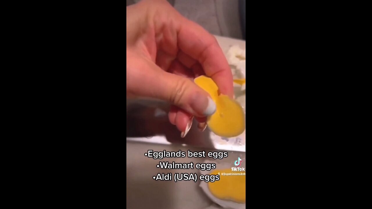 New Eggs Made From Plastic?