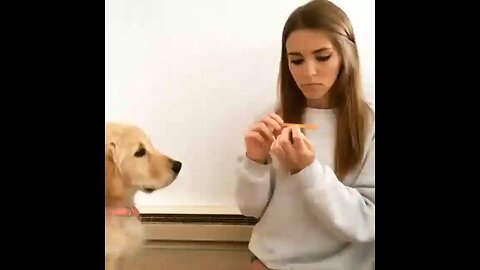 Dog wants their nails done too!