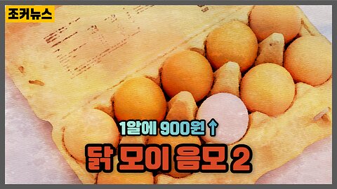 그들은 산란을 하지 못하게 했다 soaring egg prices