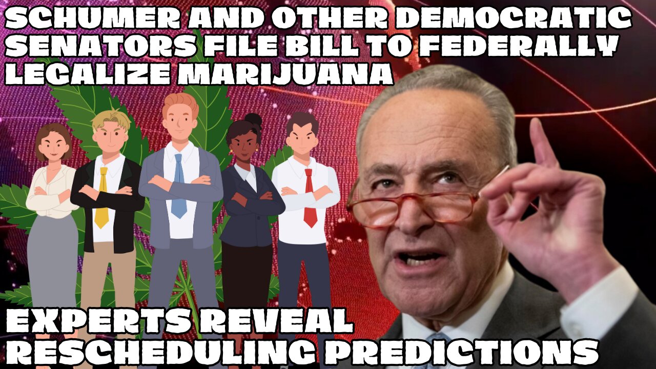 Schumer And Other Democratic Senators File Bill To Federally Legalize Marijuana