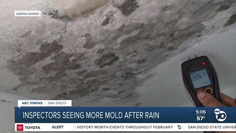Inspector sees uptick in mold concerns across San Diego following recent rain