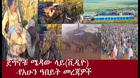 ጀግኖቹ ሜዳው ላይ(ቪዲዮ)-የአሁን ዓበይት መረጃዎች May 4,2024