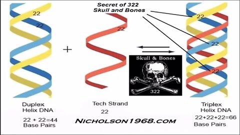 Vaccines, mRNA, Triple Strand Synthetic DNA, Secret Of Skull & Bones 322