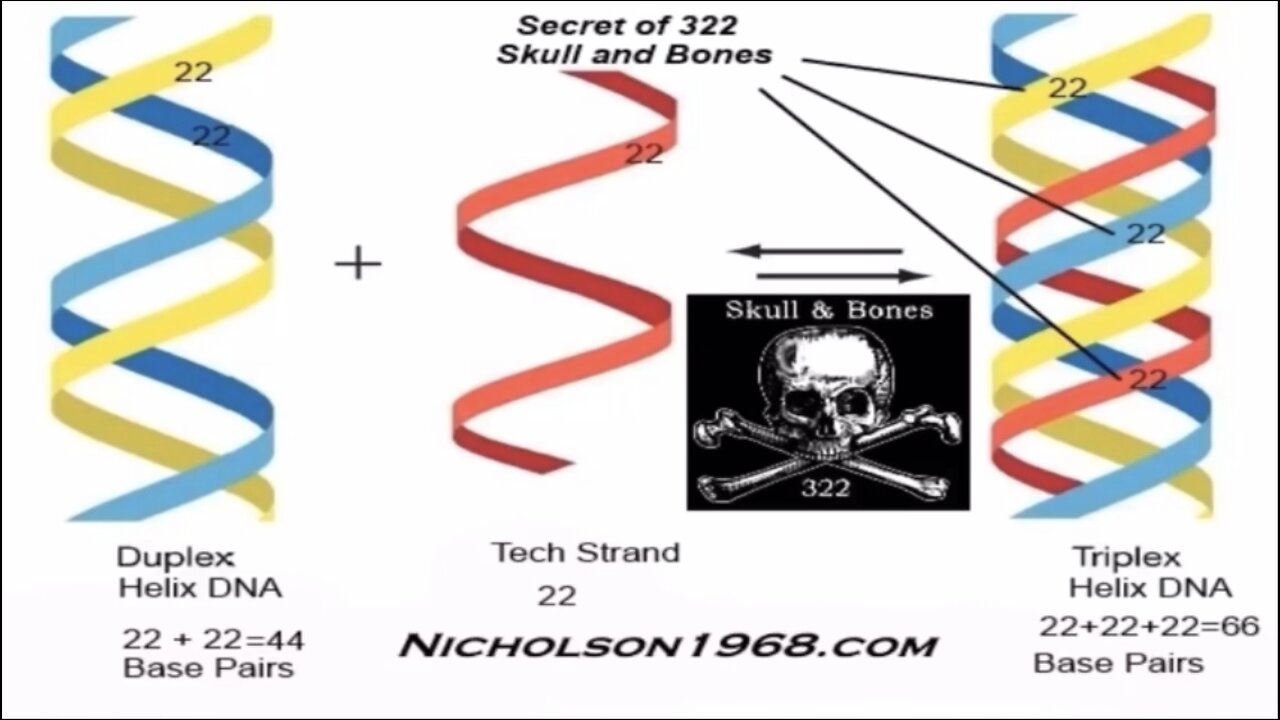 Vaccines, mRNA, Triple Strand Synthetic DNA, Secret Of Skull & Bones 322