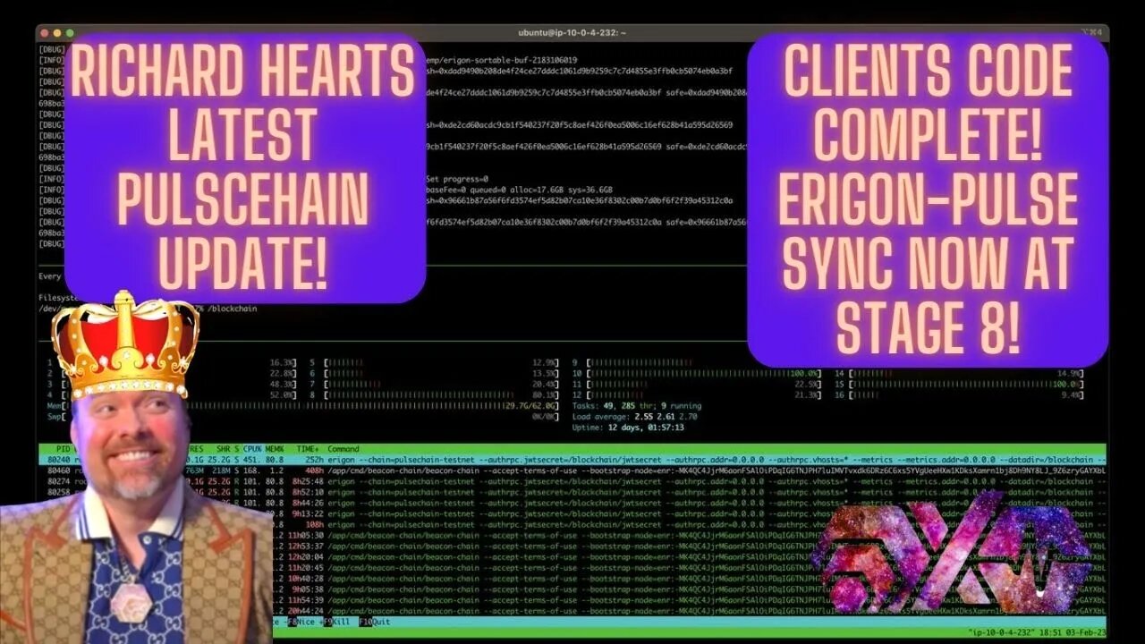 Richard Hearts Latest Pulscehain Update! Clients Code Complete! Erigon-Pulse Sync Now At Stage 8!