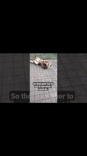 💥Thank u YouTube💥 The Runt of the litter story.Your support was 🔥. You picked her name baby Angel. 🥰