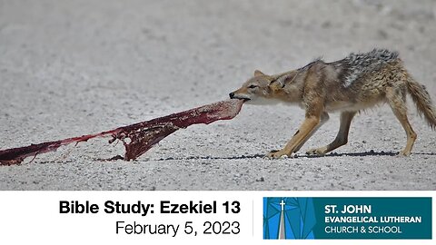 Bible Study: Ezekiel 13 – February 5, 2023