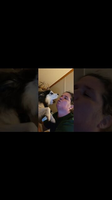 No Mom I don't want Kisses !!