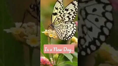 Every Day is a New Day #love