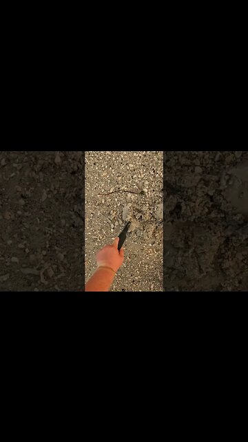 beautiful silver ring #shorts #shortvideo #short #shortsvideo