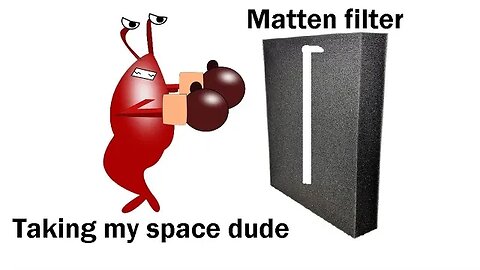 Matten Filter Shrimp Love