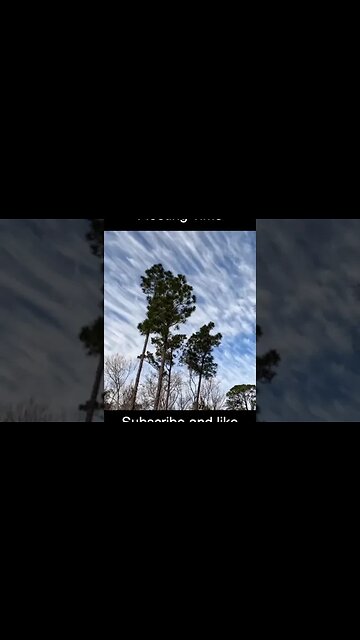 Fleeting Time #shorts