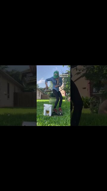 Most Trusted Name in Bee Removals 🐝