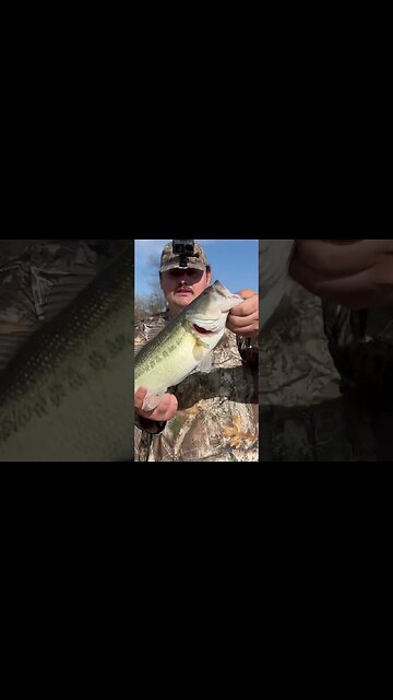 Can’t Get That at McDonalds