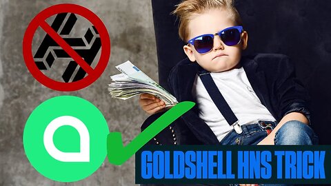 Make More Money With Your Goldshell HNS Miners