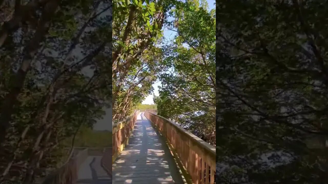 taking a walk