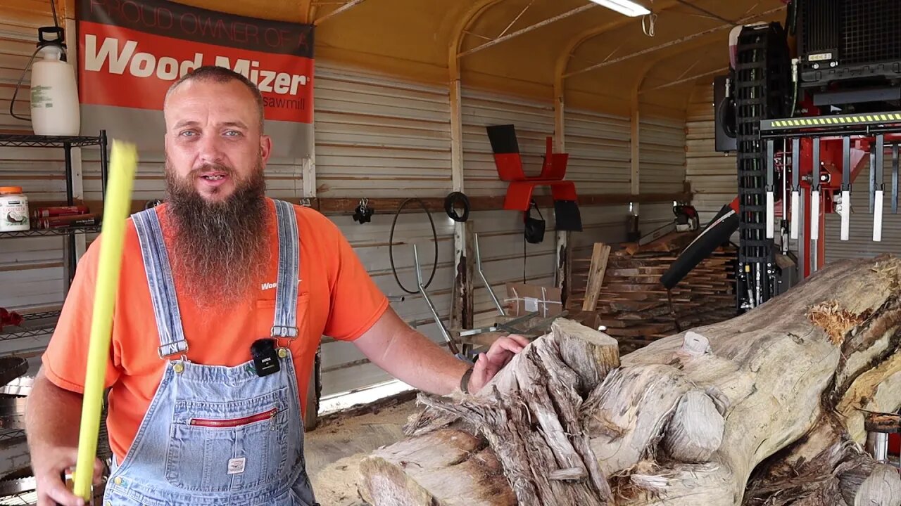 This Is Not What You Want To Find Inside A Log At The Sawmill,