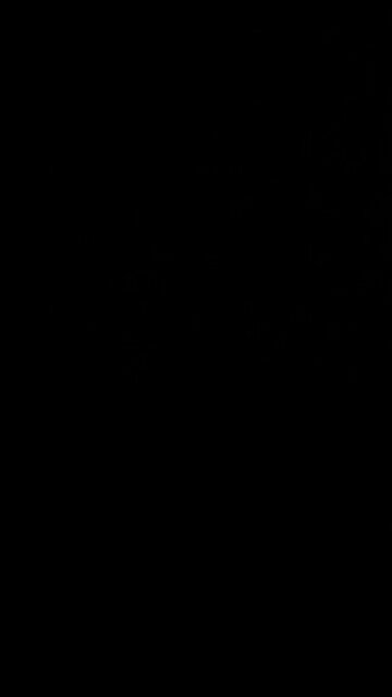 Trump will not go to jail