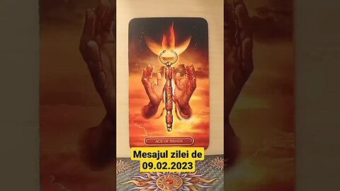 Mesajul zilei de 09.02.2023 #creativitate #predictii #zodii #tarot