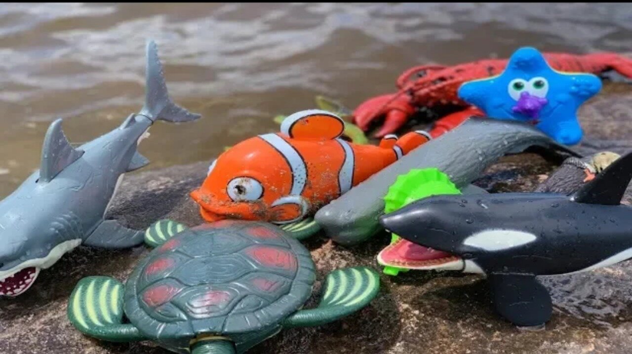 Sea Animal Toys This Summer at The Shore