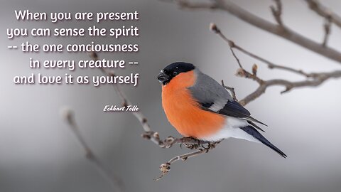 Soul of the EveryMan - Love and Understanding are RARE