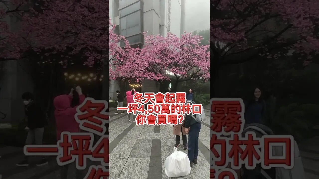 新北市A9林口區起霧實況 這樣的林口你會想買嗎? #shorts