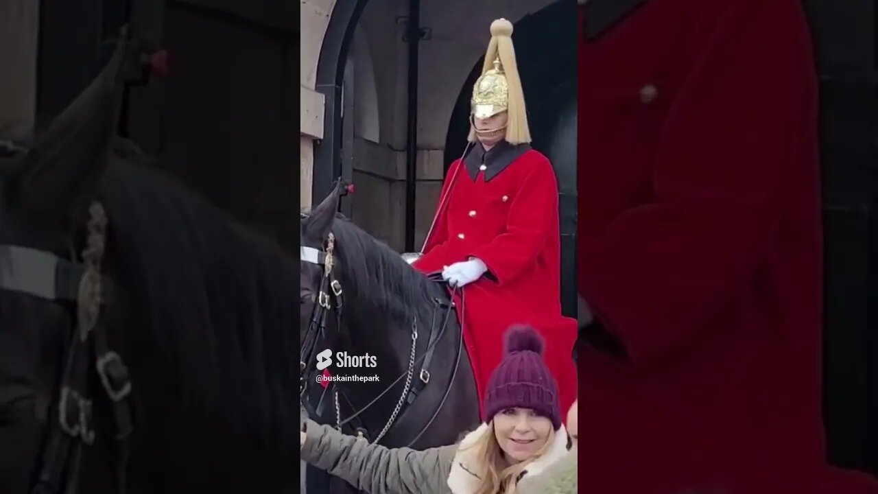 Get back don't touch the reins 4 videos in one #horseguardsparade