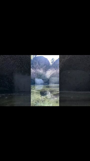 1 million Diamonds #bajacalifornia #shorts #offgridhomestead