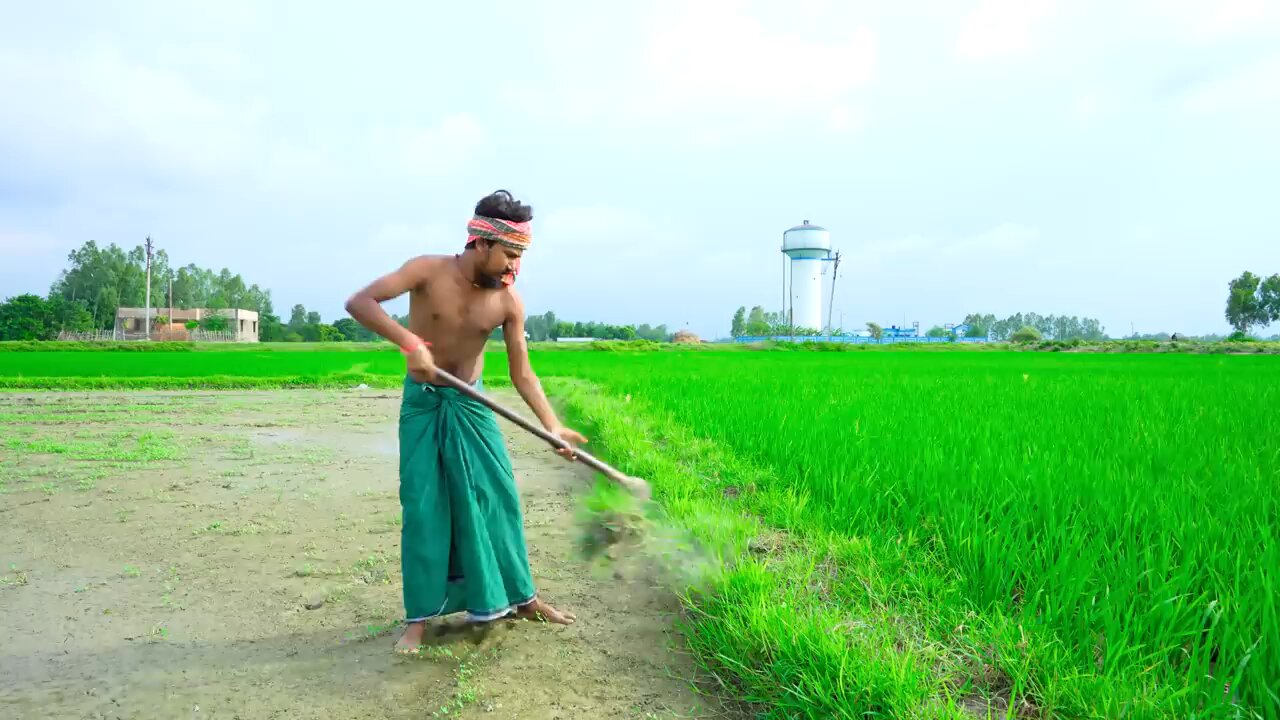 FUNNY VIDEO FROM KOLKATA