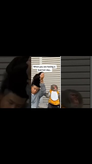 Monkey reaction 😆 😂 #shorts