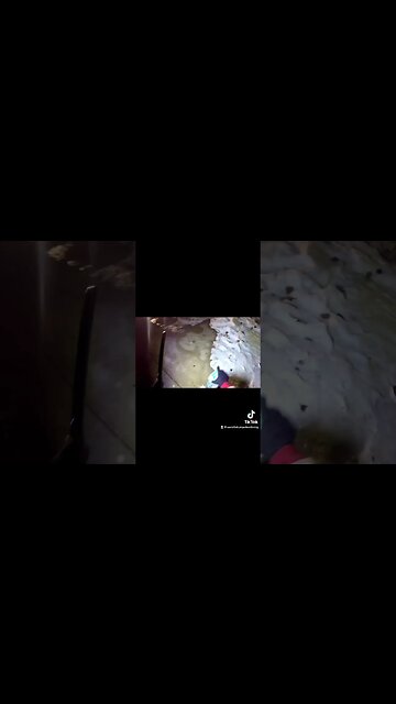 Dumpster Diving at Dollar Tree!!!