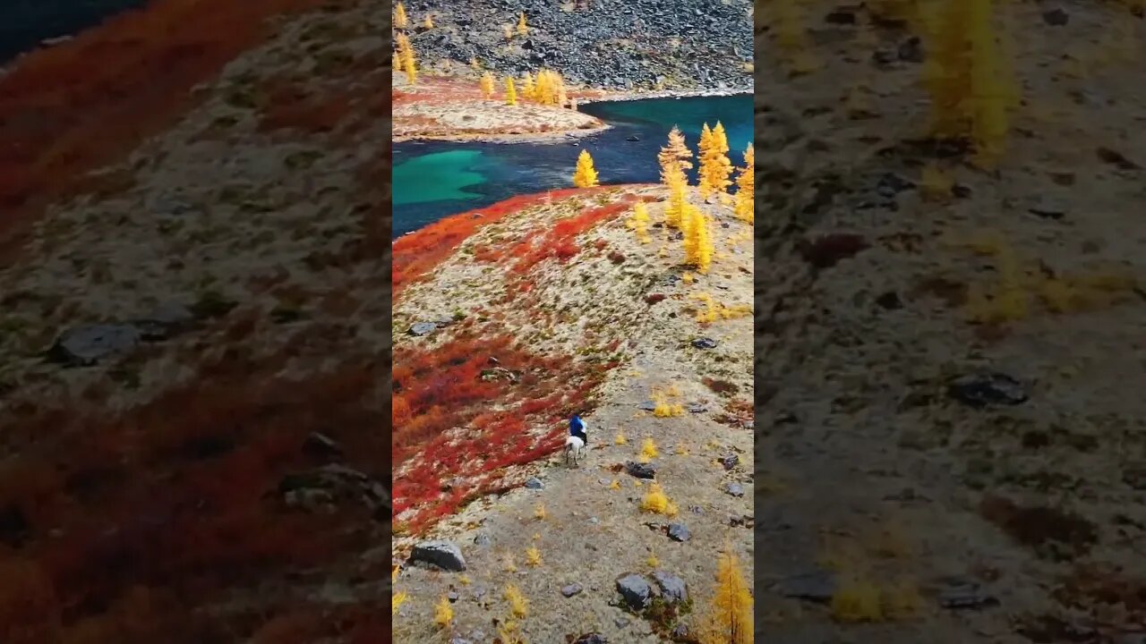 Horse riding in northern Mongolia Khubsgul province, Sayan Range.