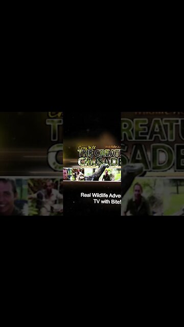 Venomous snake Bites #snakes #reptiles #wildlife #venomous #venomoussnake #animals #wild