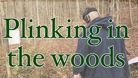 Plinking in the Woods