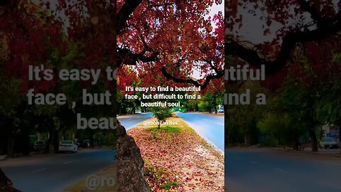 It's easy to find a beautiful face , but difficult to find a beautiful soul || Roohi Writes || #face