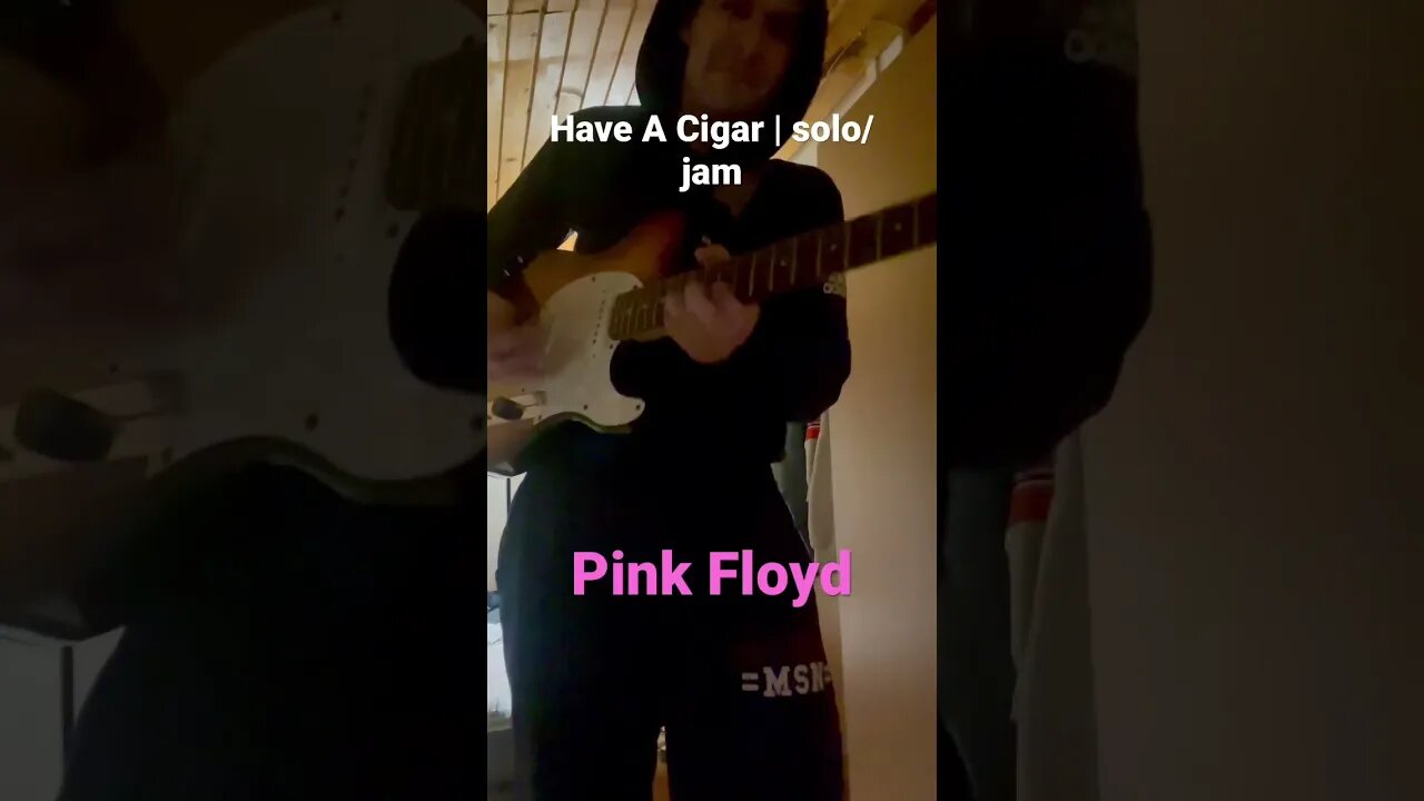 Pink Floyd | Have a Cigar #guitarsolo #guitarcover #pinkfloyd #looping #improvisation