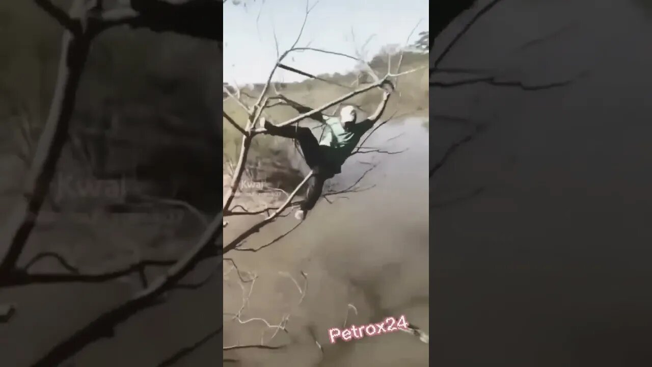 When you climb your ambition to the top