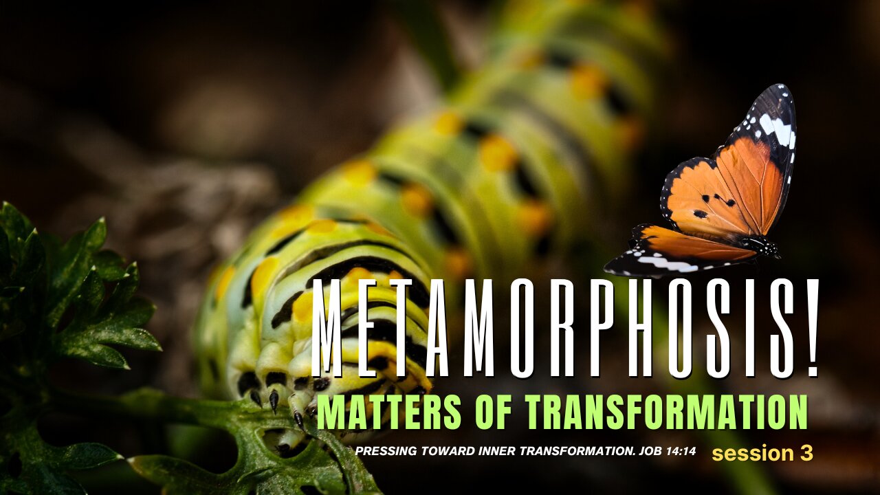 LOOKING INTO MATTERS OF INNER TRANSFORMATION. METAMORPHOSIS. SESSION 3.