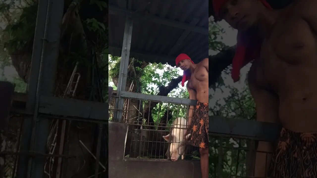 Jamming with my animal and playing some tunes as a young man in Tobago