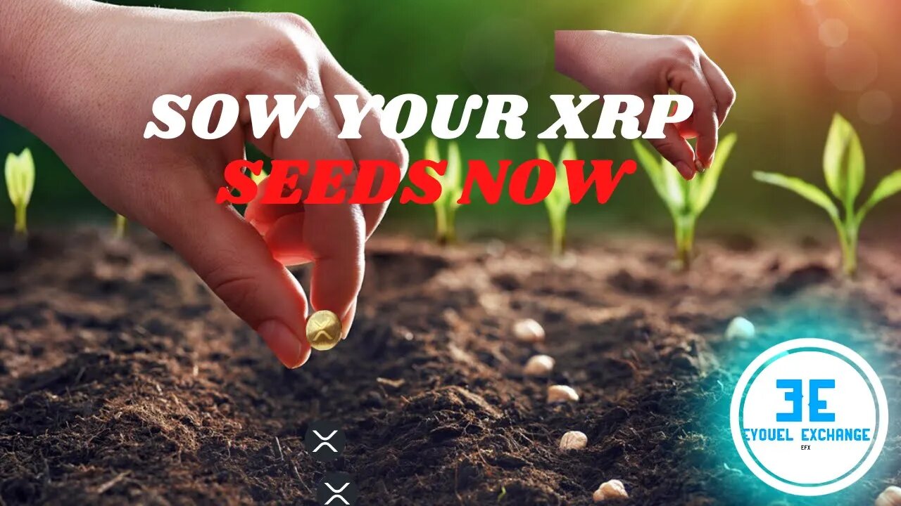 RIPPLE XRP: Sow Your Seeds into XRP, The Future of Cryptocurrency Investing