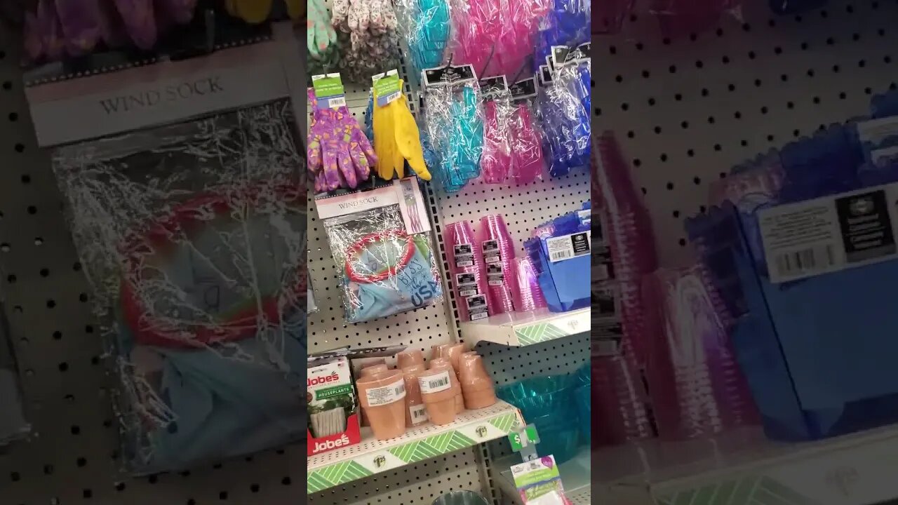 Take a walk through The Dollar Tree with me