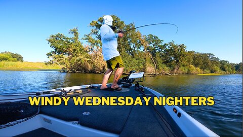 Windy Wednesday Nighters BIG BAG - California Delta