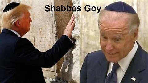 Shabbos Goy