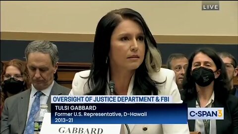 Tulsi Gabbard Calls Out Mitt Romney For Accusing Her Of Treason With NO Evidence