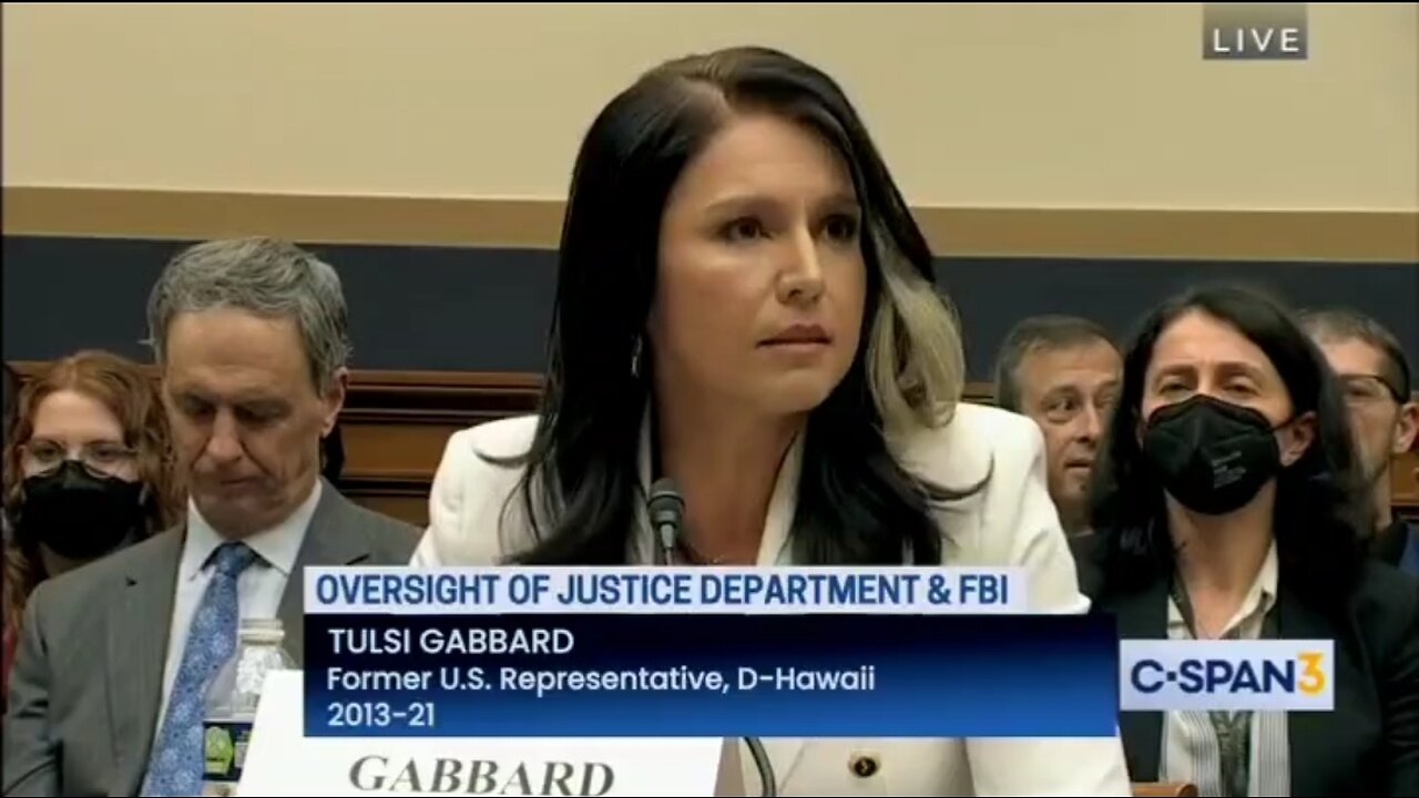Tulsi Gabbard Calls Out Mitt Romney For Accusing Her Of Treason With NO Evidence