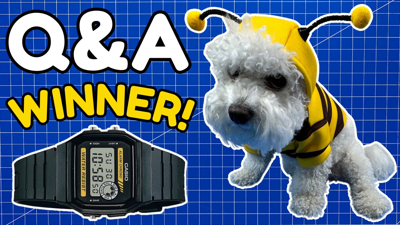 🐐 Answering YOUR Questions + Giveaway WINNER! 🎁⌚🐝