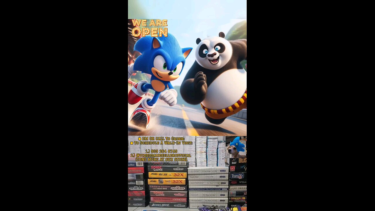 Sonic The Hedgedog And Po Racing 🥋🏁🦔